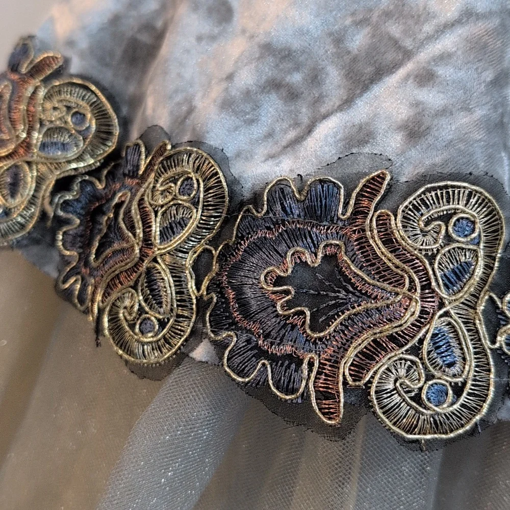 Revolution Velvet Silver and Gold Dance Costume Tutu Size Women's M - Picture 6 of 12